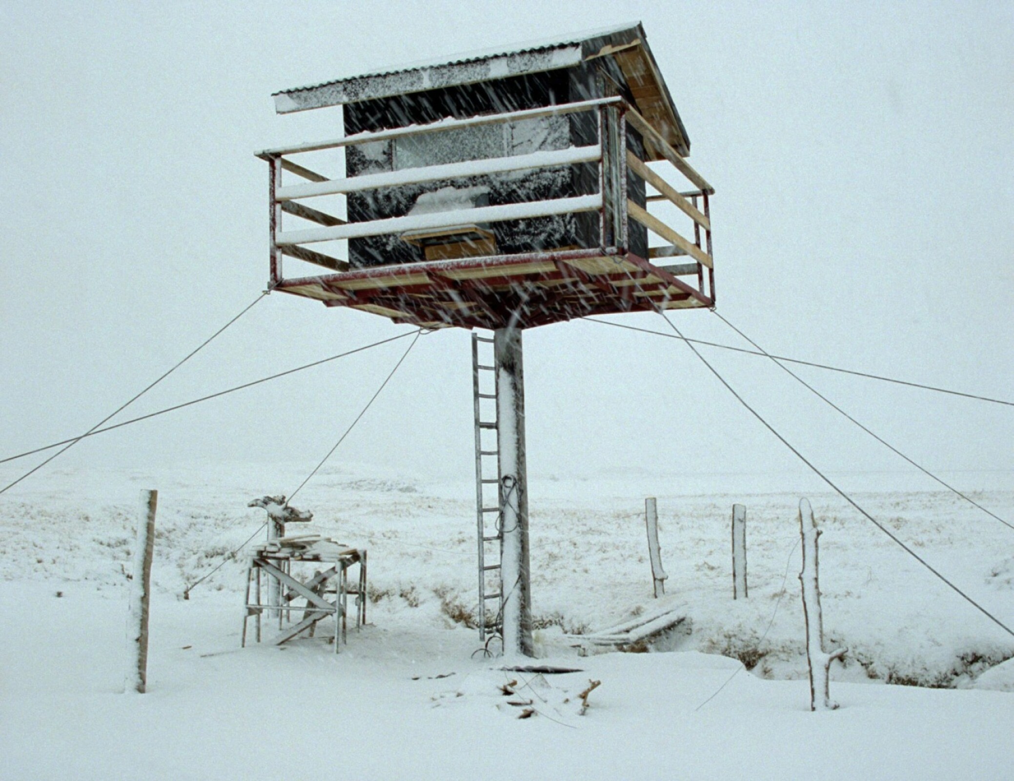 Nest (Dir.&nbsp;Hlynur Pálmason - 2022)