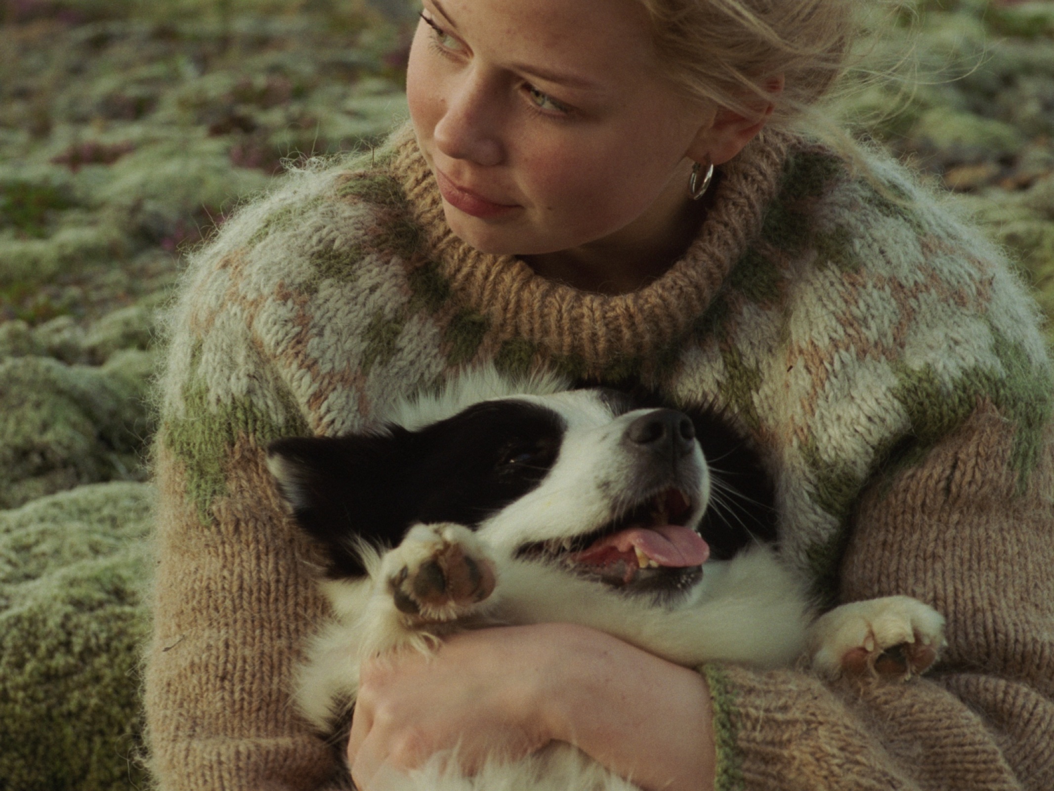 The Love That Remains (Hlynur Pálmason - 2025)