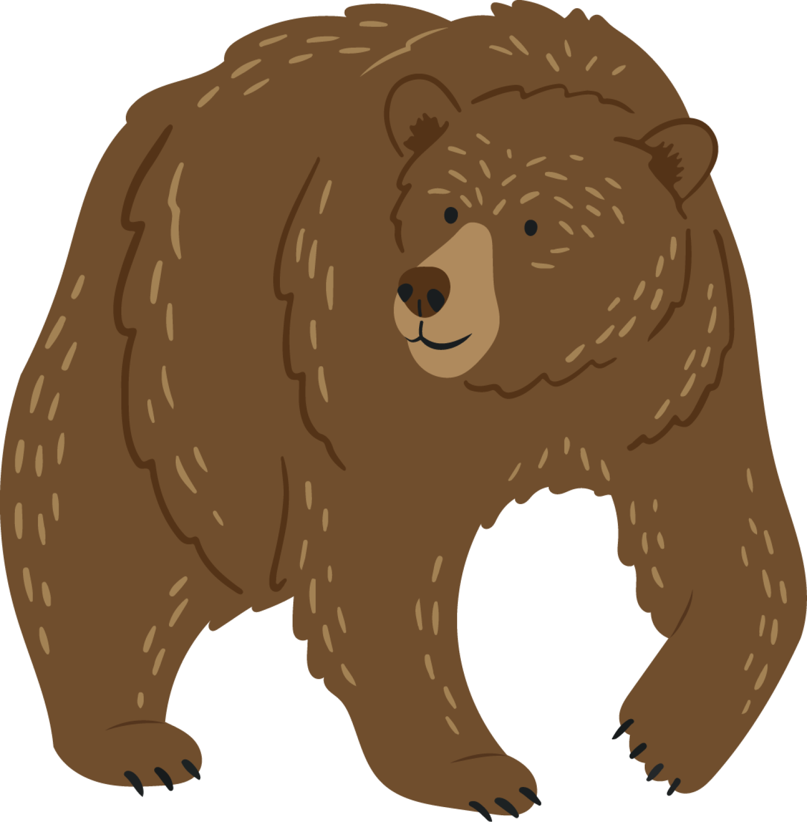 Bear Illustration. Credit: Leeds Civic Trust (Megan Dobbyn)