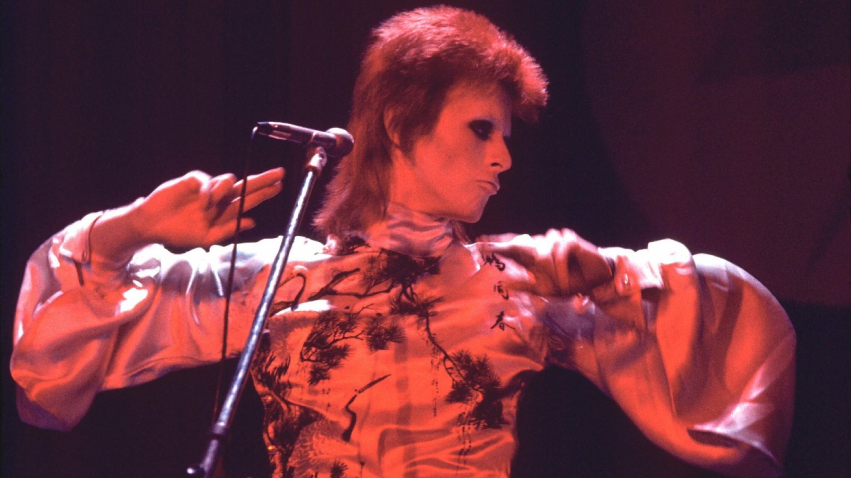 Ziggy Stardust and the Spiders from Mars (1979)