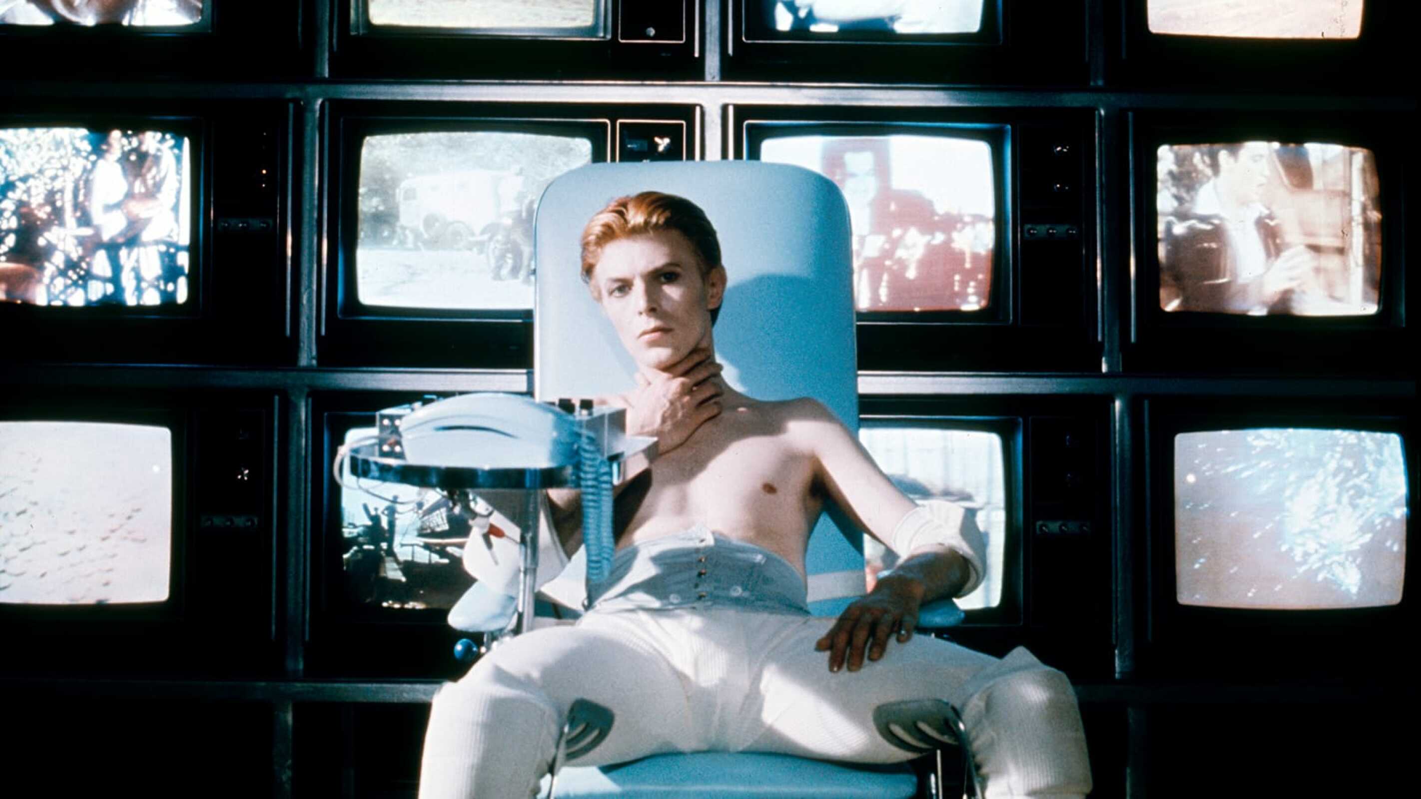 The Man Who Fell To Earth (1976)