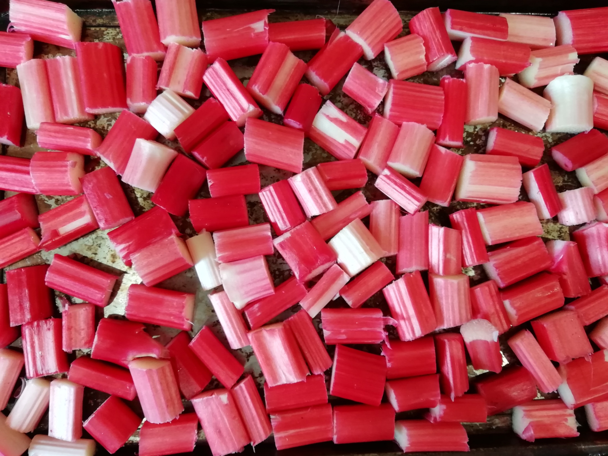 Martha's rhubarb